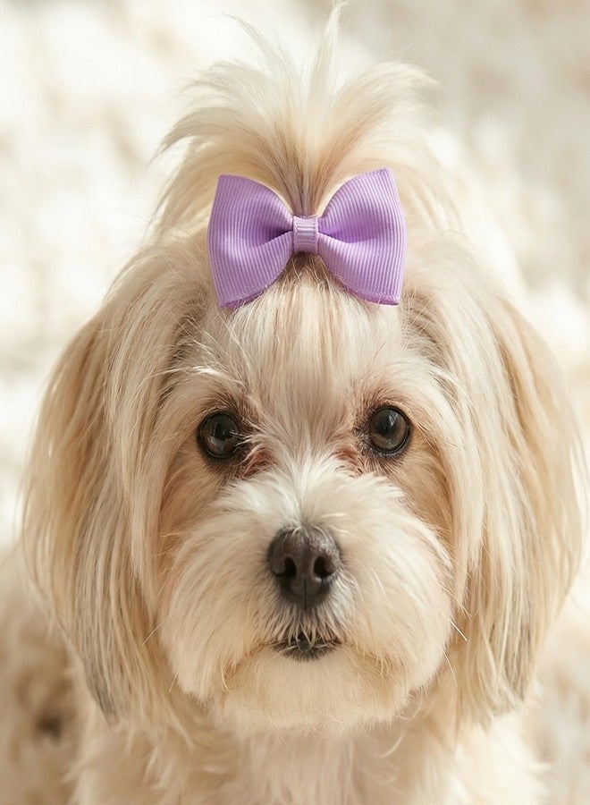 Zelphvt 40 Pcs Puppy Bows Small Size with Rubber Bands Dog Hair Bows Pet Puppy Hair Bow for Grooming Yorkie Doggies Puppys - Image 5